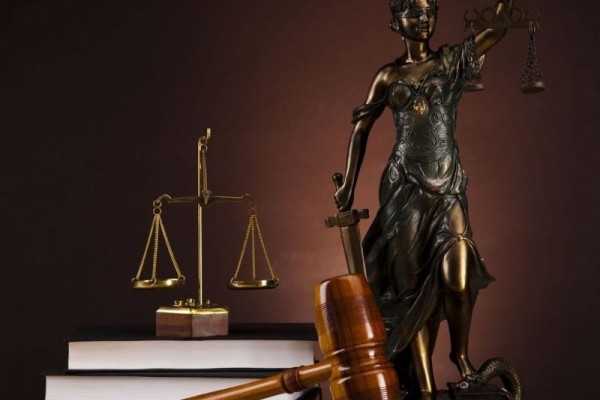 로펌 서비스 국제 지적 재산권 변호사_로펌 서비스 국제 지적 재산권 변호사